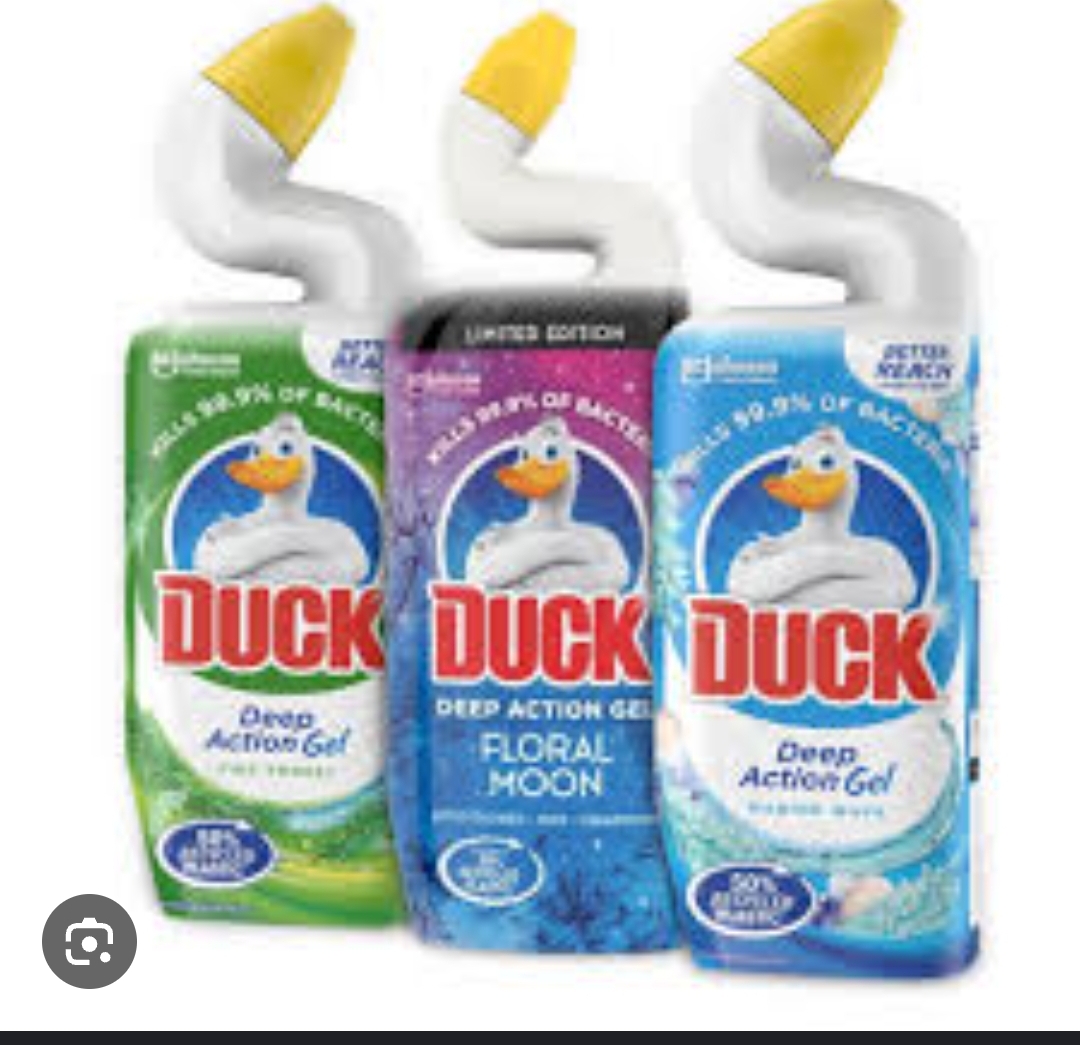 Duck Toilet Cleaner 500ml
